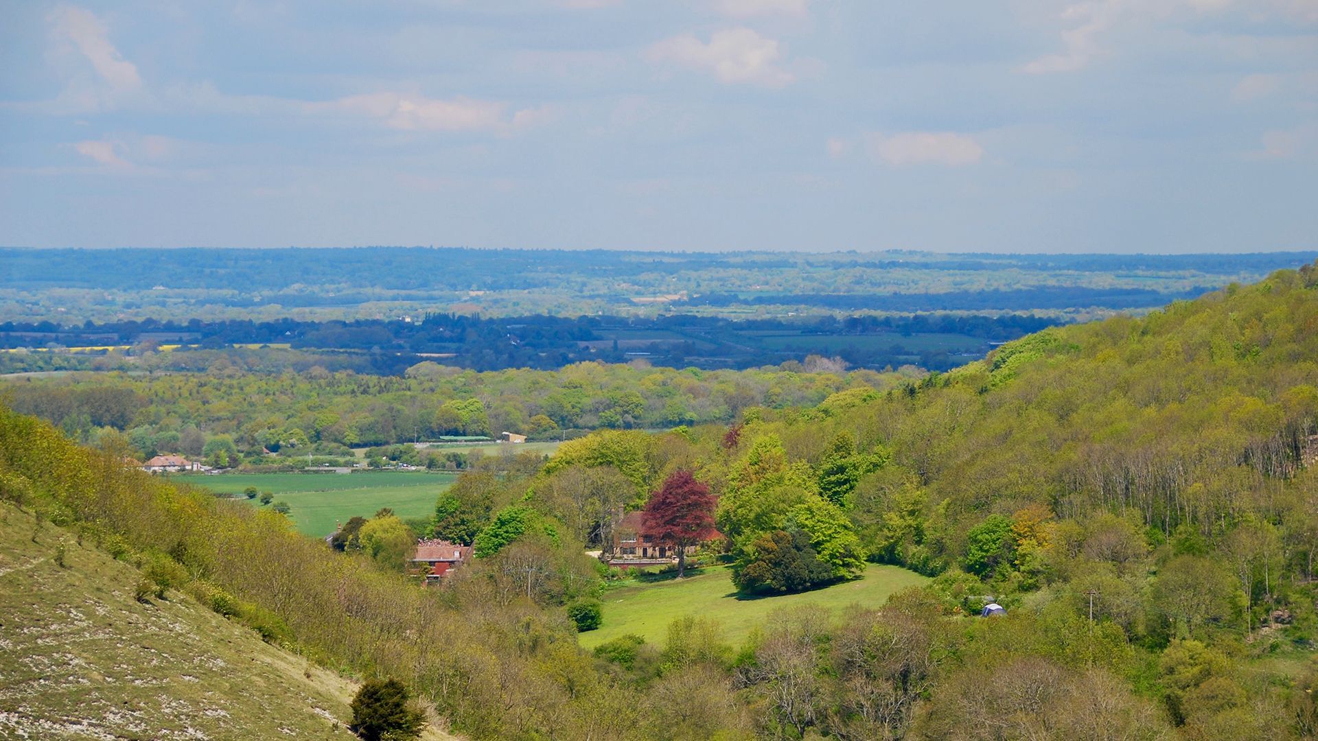 Crowborough - Cubitt & West