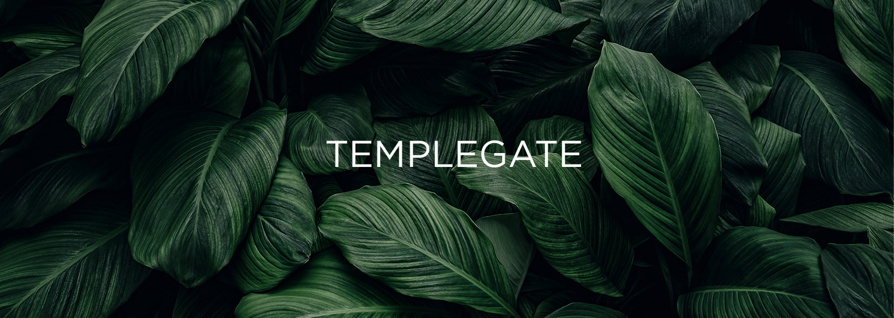 Templegate, Burgess Hill, West Sussex - Wards of Kent