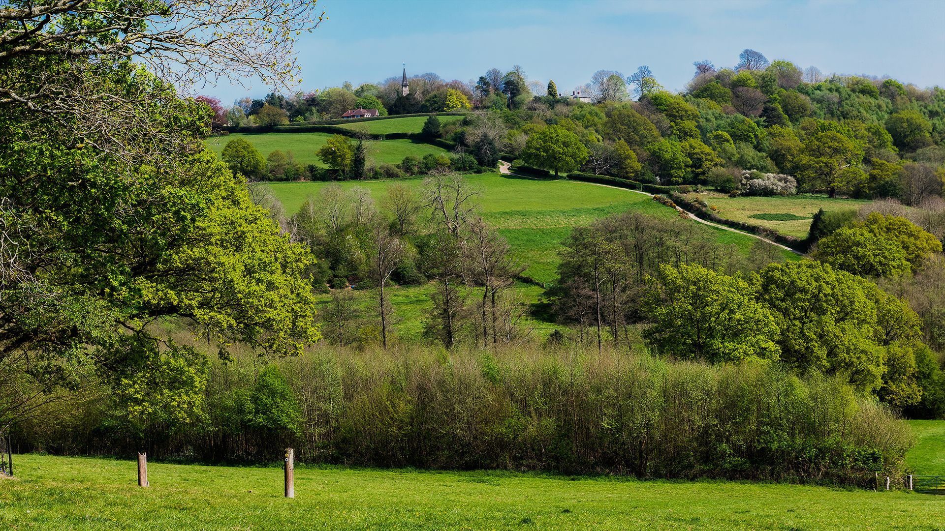 Paddock Wood