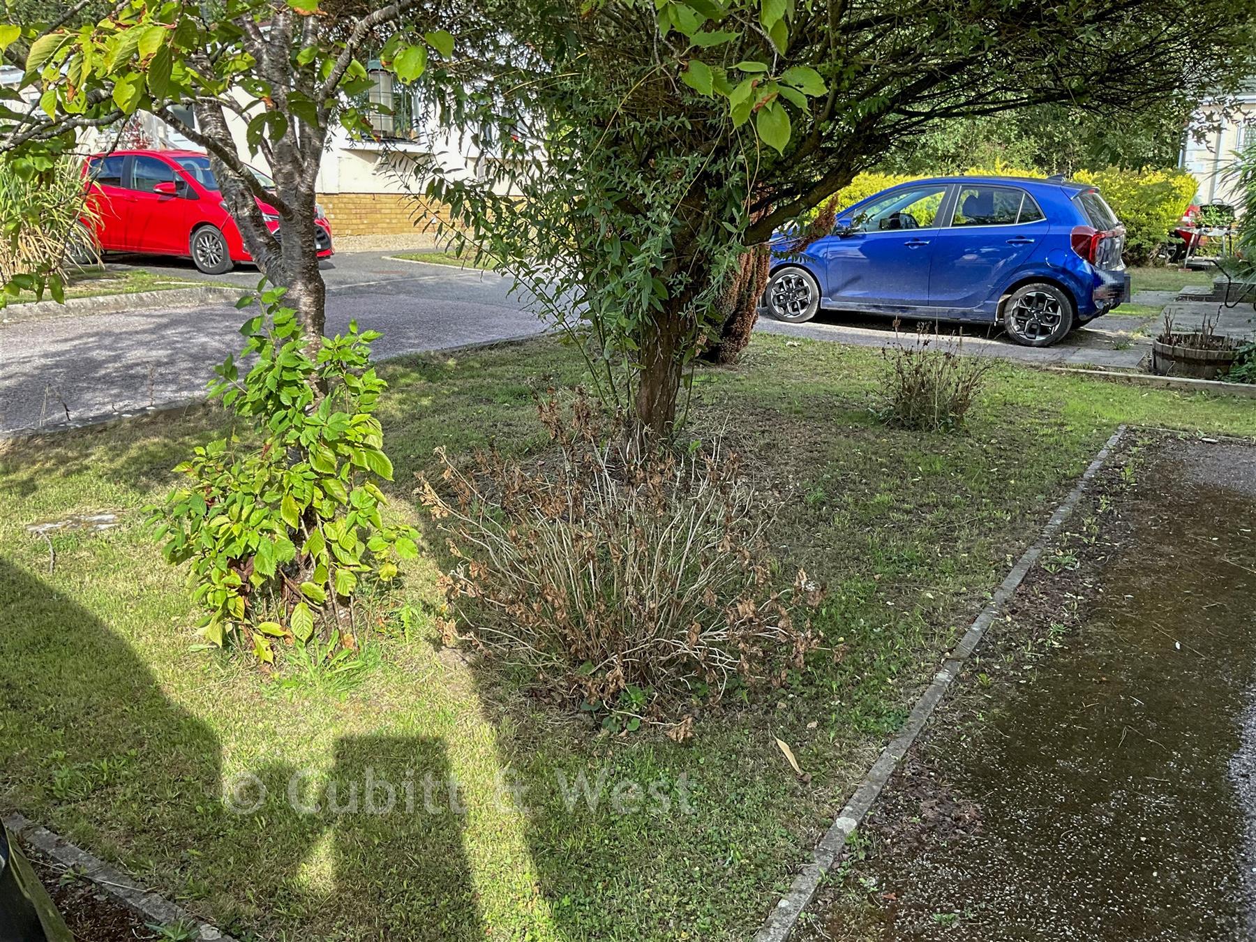 Garden - Emms Lane, Brooks Green, Horsham, West Sussex - Wards of Kent
