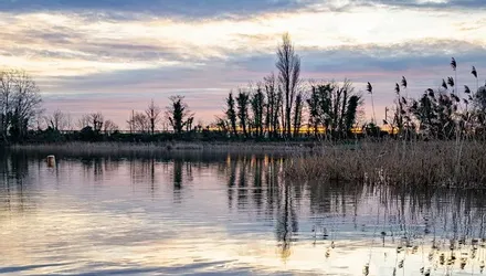 Faversham Lakes, Faversham, Kent - Wards of Kent