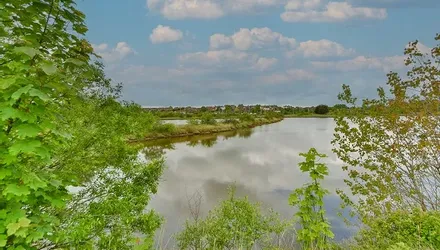 Faversham Lakes, Faversham, Kent - Wards of Kent