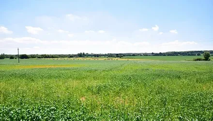 Woodfield, Lidsing, Near Rainham, Kent - Wards of Kent