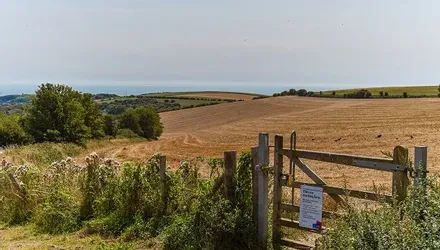 The Ridgway, Woodingdean, East Sussex - Wards of Kent