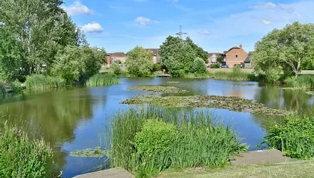 Scholars Place, Iwade, Kent - Wards of Kent