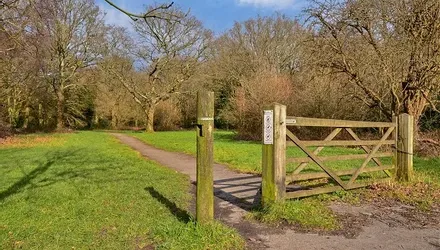 Loxford Road, Caterham, Surrey - Wards of Kent