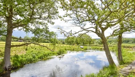 Hartdene Barns, Cowden, Kent - Wards of Kent