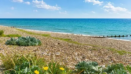Ocean Villas, Rustington, West Sussex - Wards of Kent
