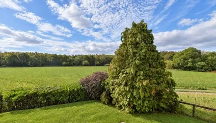 South Street, East Hoathly - Wards of Kent