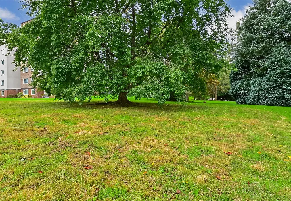 Communal Gardens - Ferndale Close, Tunbridge Wells, Kent - Wards of Kent