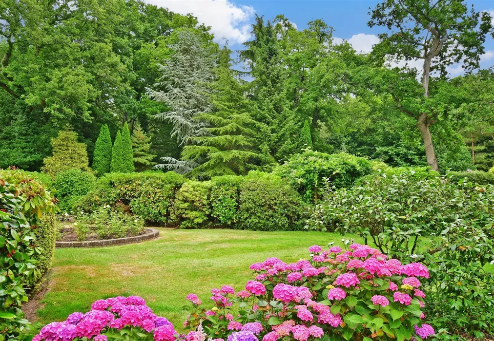 Front Garden - Fleets Lane, Tyler Hill, Canterbury, Kent - Wards of Kent