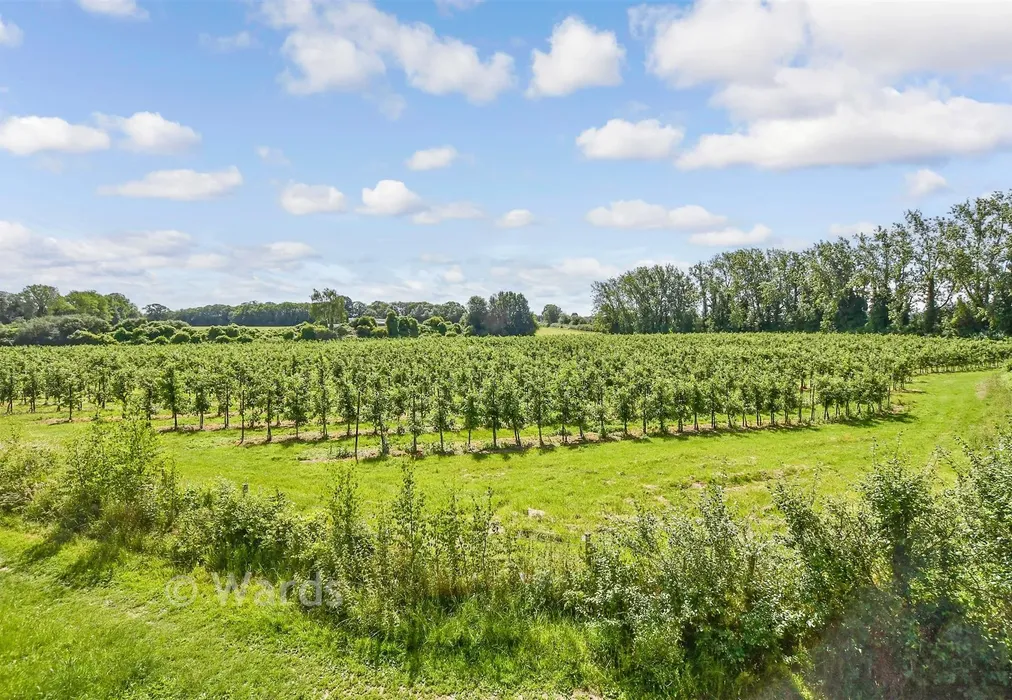 Views To Front - Salts Lane, Loose, Maidstone, Kent - Wards of Kent