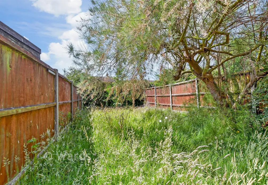 Rear Garden - Kite Farm, Whitstable, Kent - Wards of Kent
