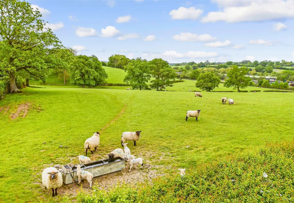 Surrounding Area - Rolvenden Road, Tenterden, Kent - Wards of Kent