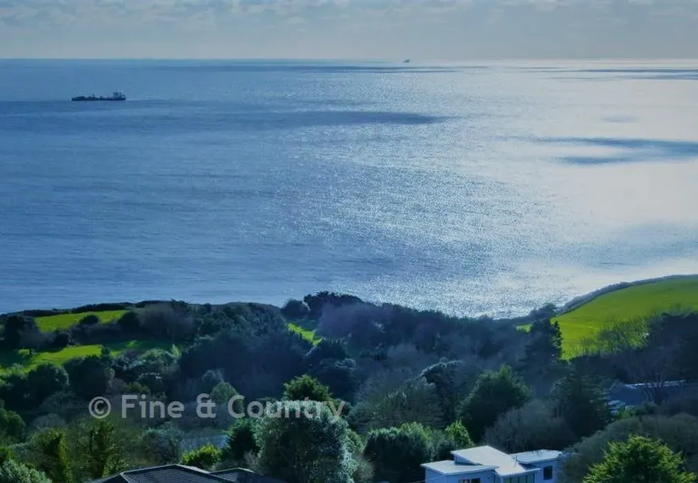 Overhead View*** - Steephill Court Road, Ventnor, Isle of Wight - Wards of Kent