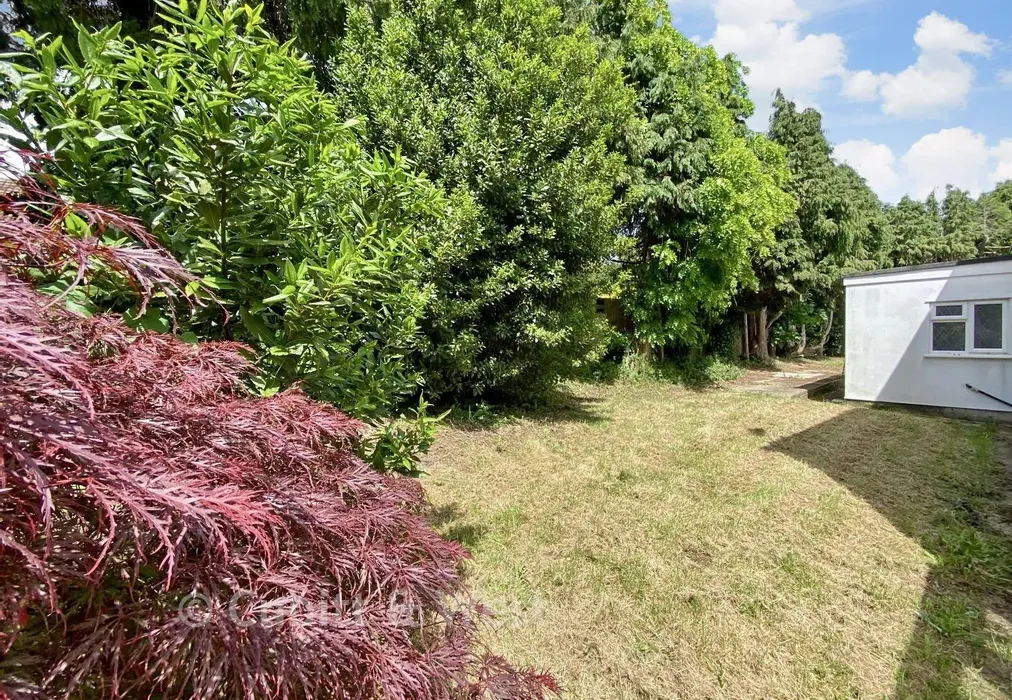 Rear Garden - North Road, Reigate, Surrey - Wards of Kent
