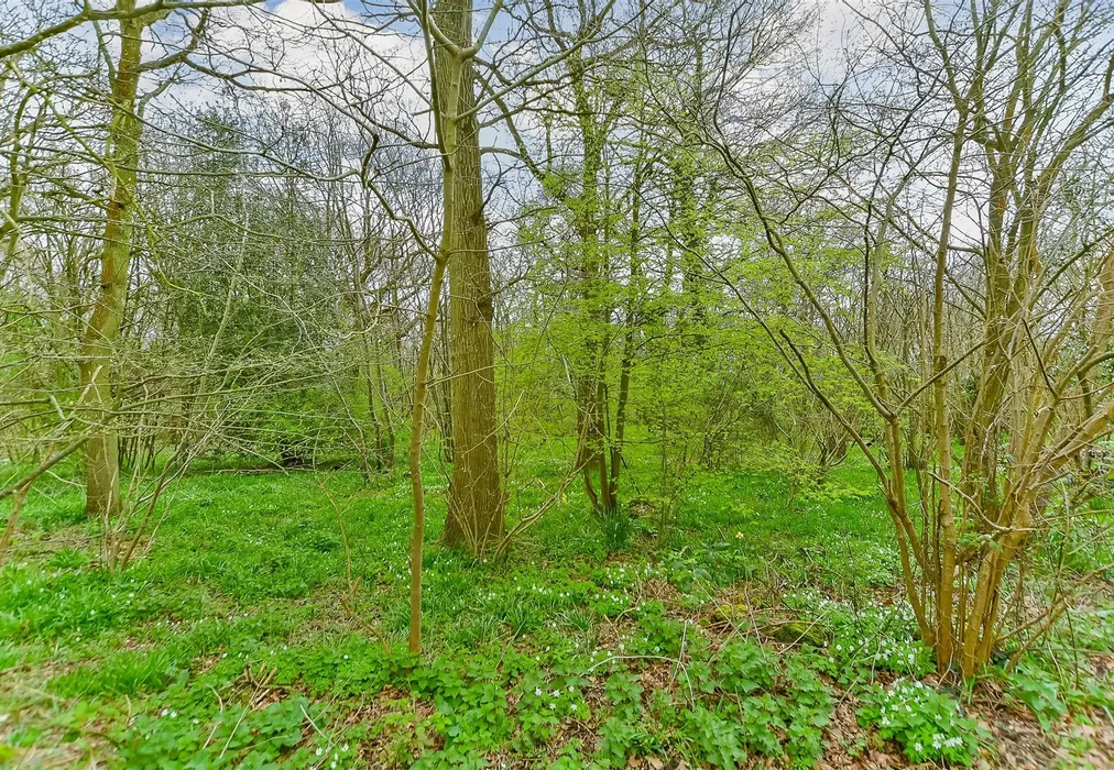Views To Rear - Shalloak Road, Broad Oak, Canterbury, Kent - Wards of Kent