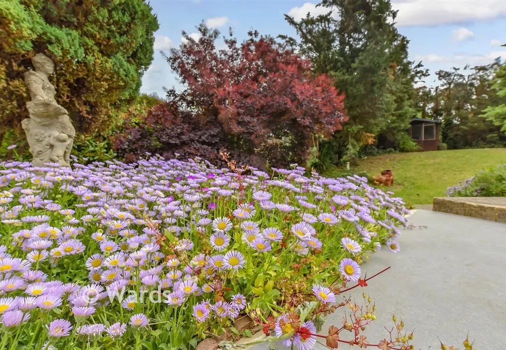 External Lifestyle Photograph - London Road, Ditton, Aylesford, Kent - Wards of Kent