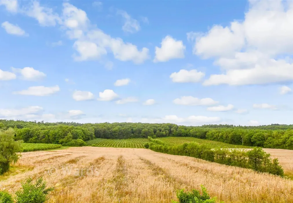 Views To Rear - Goddards Green Road, Benenden, Cranbrook, Kent - Wards of Kent