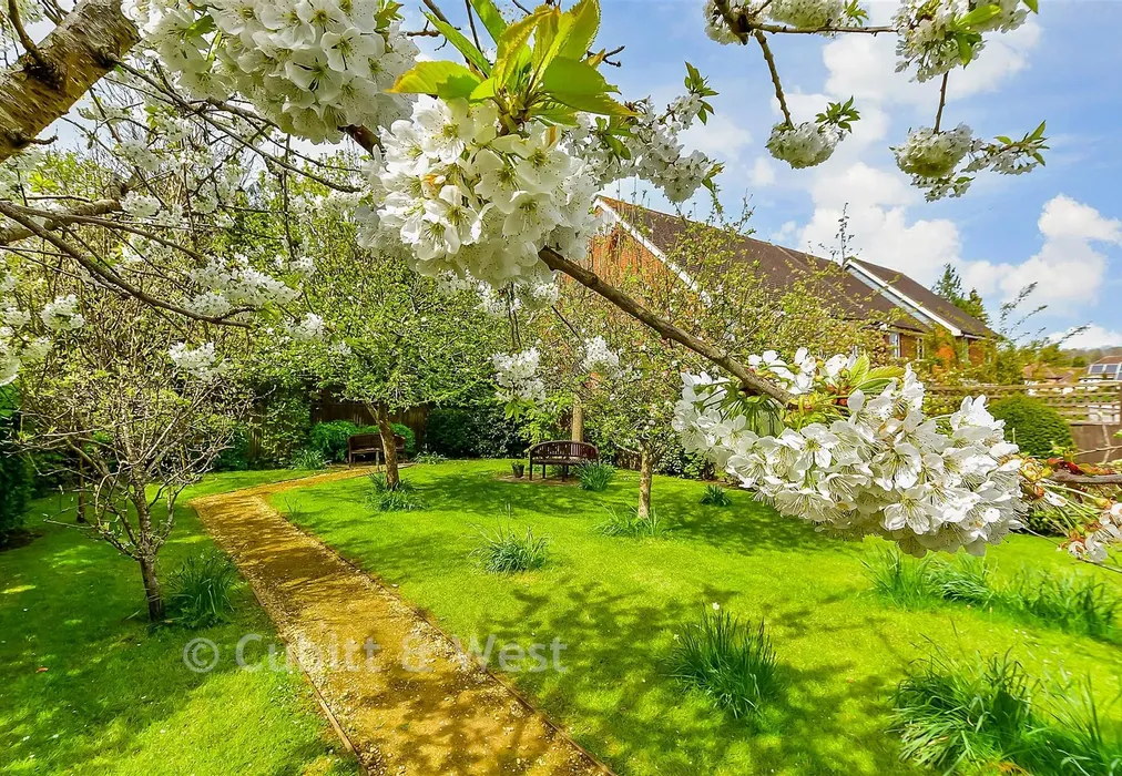 Communal Gardens - London Road, Redhill, Surrey - Wards of Kent