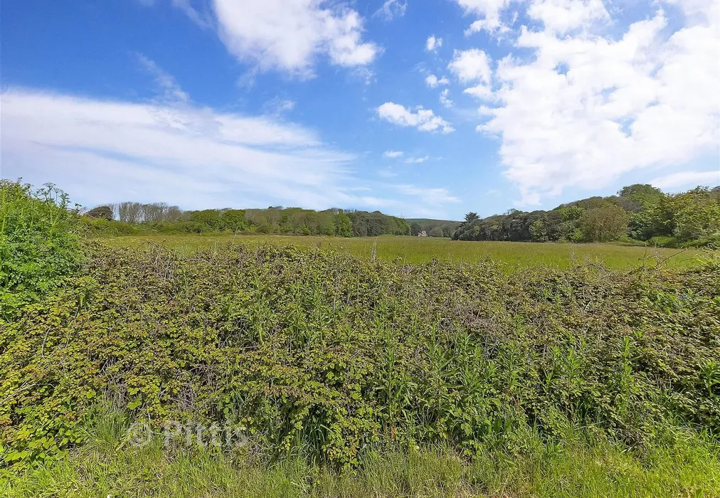 Views To Rear - Badger Lane, Brook, Newport, Isle of Wight - Wards of Kent