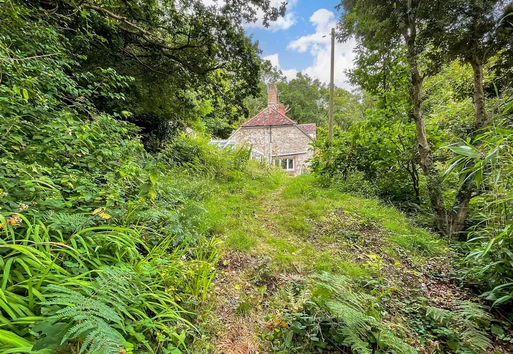 Rear Garden - Apse Manor Road, Shanklin, Isle of Wight - Wards of Kent