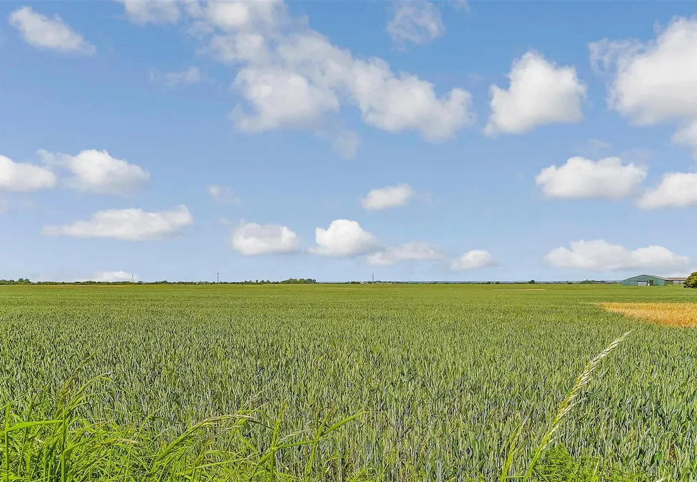 Views To Front - Cockreed Lane, New Romney, Kent - Wards of Kent