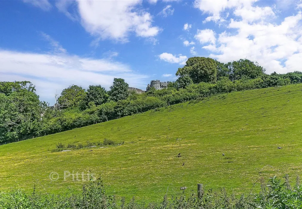Views To Front - Millers Lane, Carisbrooke, Isle of Wight - Wards of Kent
