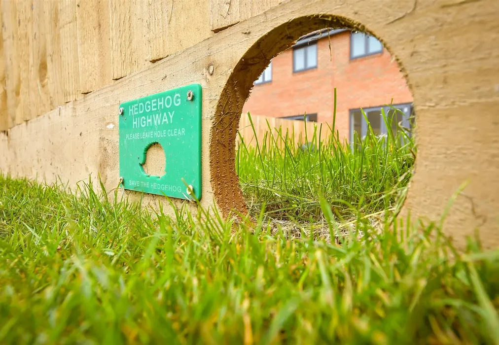 External Lifestyle Photograph - Oswald Norris Way, Woodgate, Pease Pottage, Crawley, West Sussex - Wards of Kent