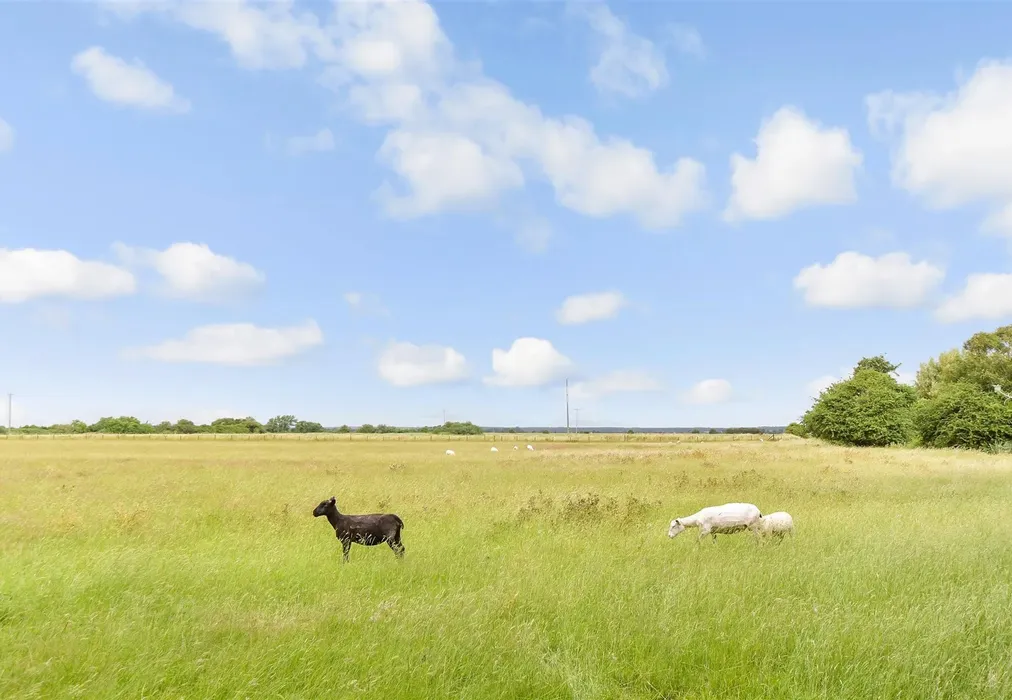 Views To Rear - Hythe Road, Dymchurch, Romney Marsh, Kent - Wards of Kent