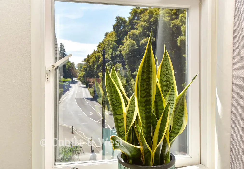 Internal Lifestyle Photograph - Bell Street, Reigate, Surrey - Wards of Kent