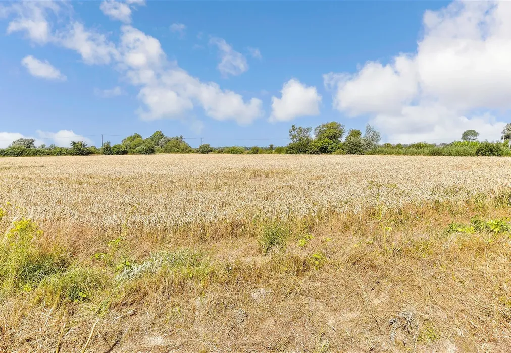 Views To Front - Oasthouse Field, Ivychurch, Romney Marsh, Kent - Wards of Kent