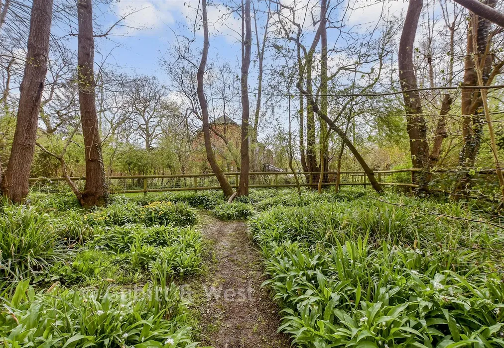 Rear Garden - Southlands, East Grinstead, West Sussex - Wards of Kent