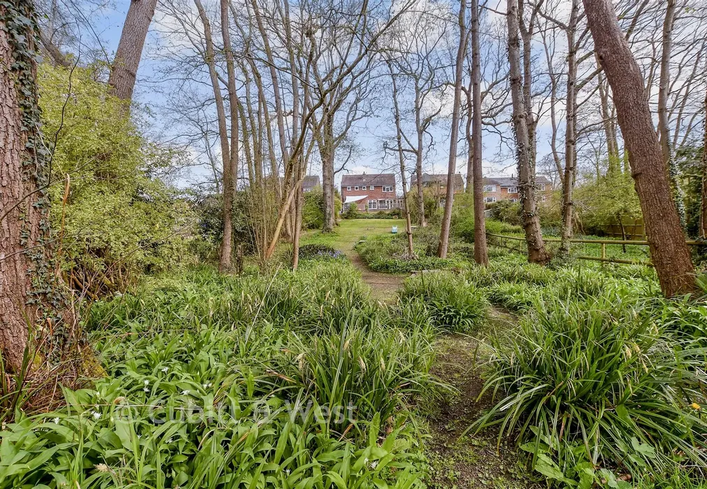 Rear Garden - Southlands, East Grinstead, West Sussex - Wards of Kent