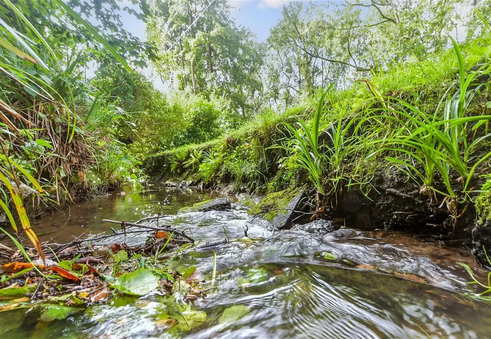 Stream - Southlands, East Grinstead, West Sussex - Wards of Kent