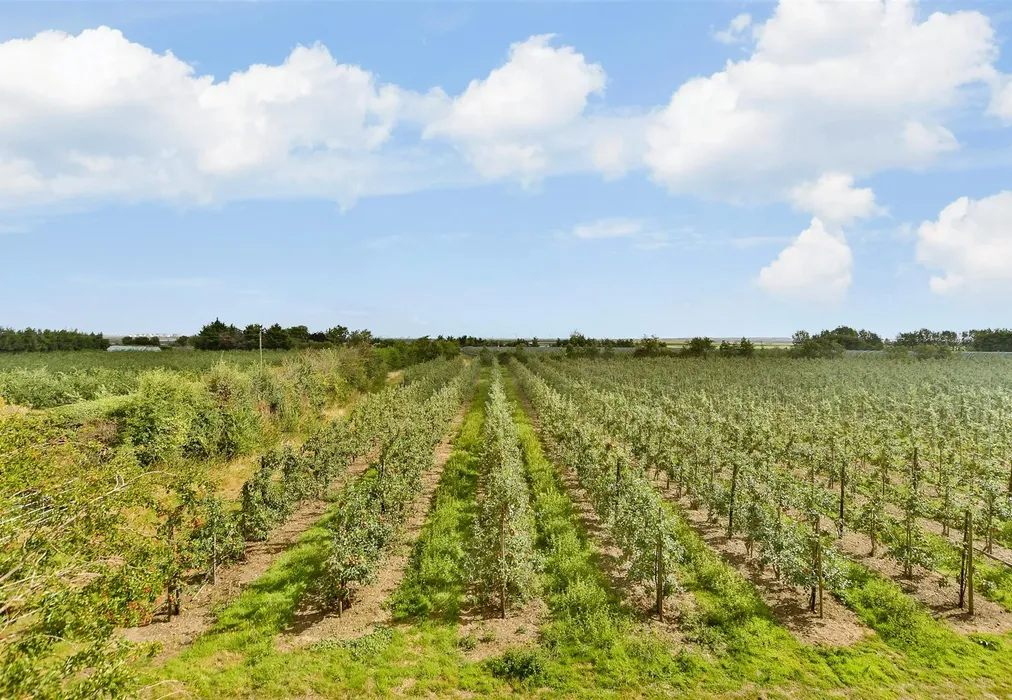 Views To Rear - Ham Green, Upchurch, Sittingbourne, Kent - Wards of Kent