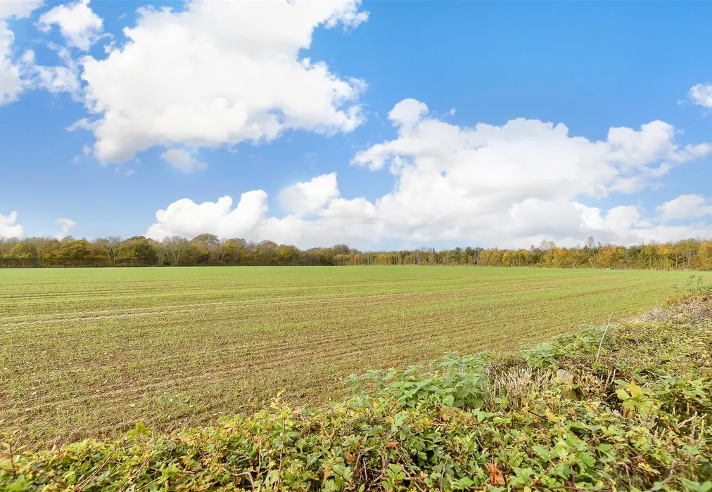 Views To Rear - Stone Street, Petham, Canterbury, Kent - Wards of Kent