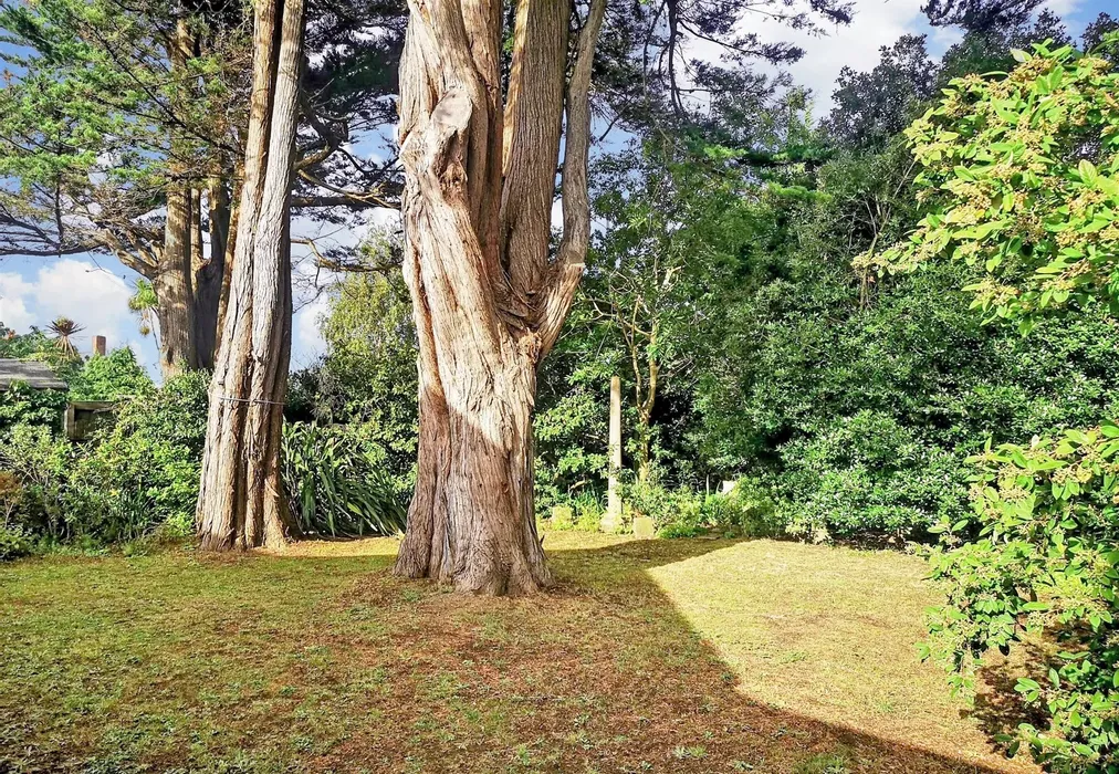 Garden - Port La Salle, Bouldnor, Yarmouth, Isle of Wight - Wards of Kent