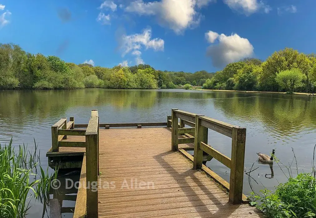 Connaught Waters - Forest View, Chingford - Wards of Kent