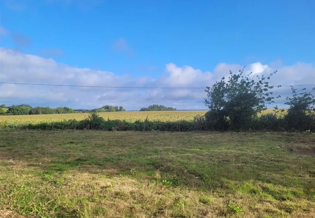 *Side Garden* - Canteen Road, Ventnor, Isle of Wight - Wards of Kent