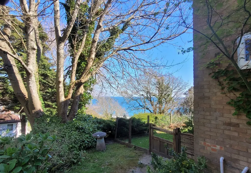 Garden** - Steephill Road, Ventnor, Isle of Wight - Wards of Kent