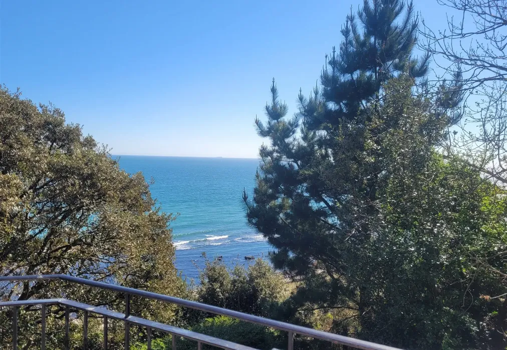 Balcony View** - Steephill Road, Ventnor, Isle of Wight - Wards of Kent