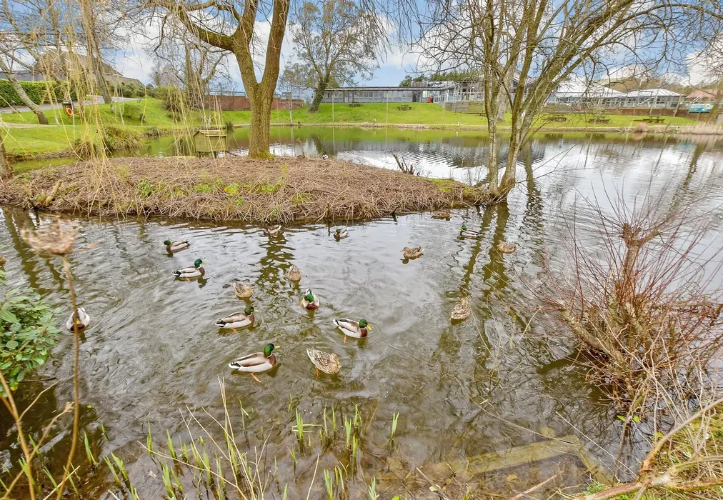 Surrounding Area - Main Road, Rookley, Ventnor, Isle of Wight - Wards of Kent