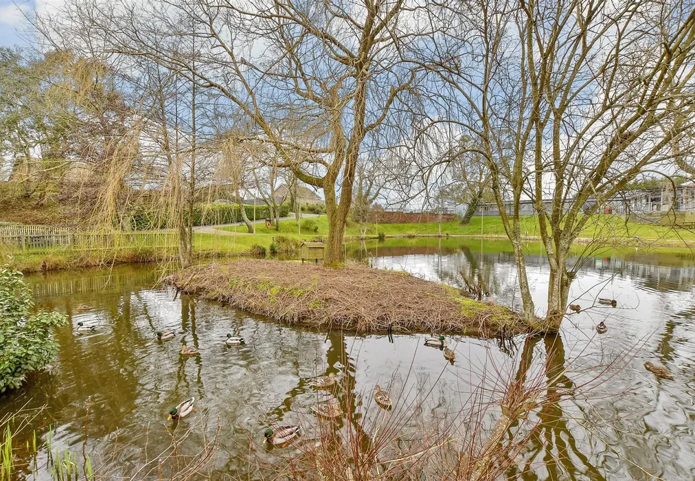 Surrounding Area - Main Road, Rookley, Ventnor, Isle of Wight - Wards of Kent