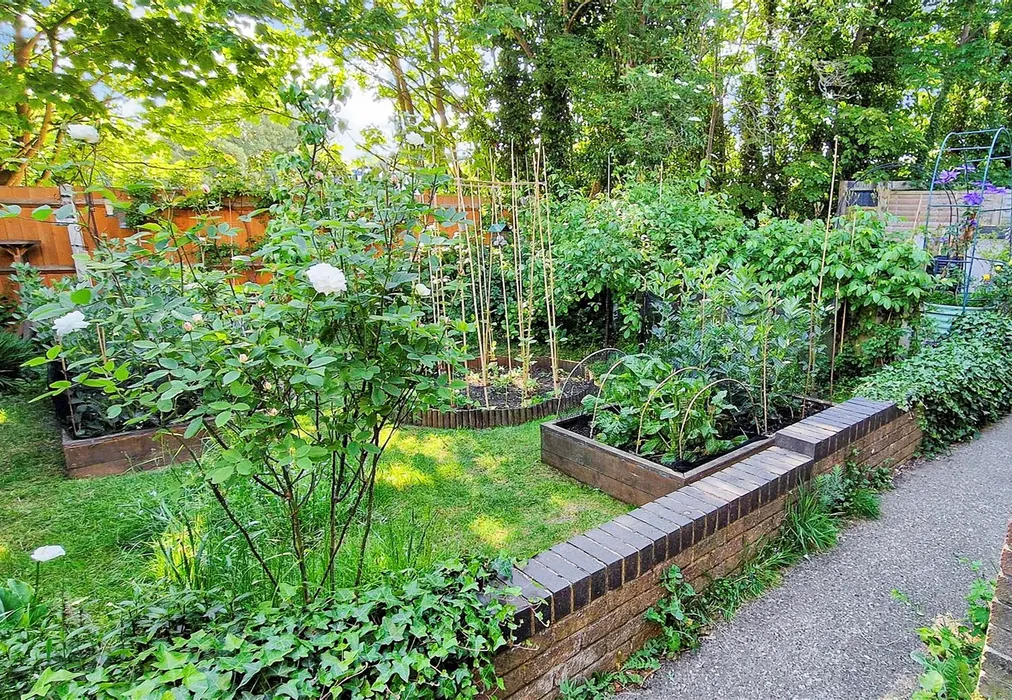 Garden - All Saints Avenue, Westbrook, Margate, Kent - Wards of Kent