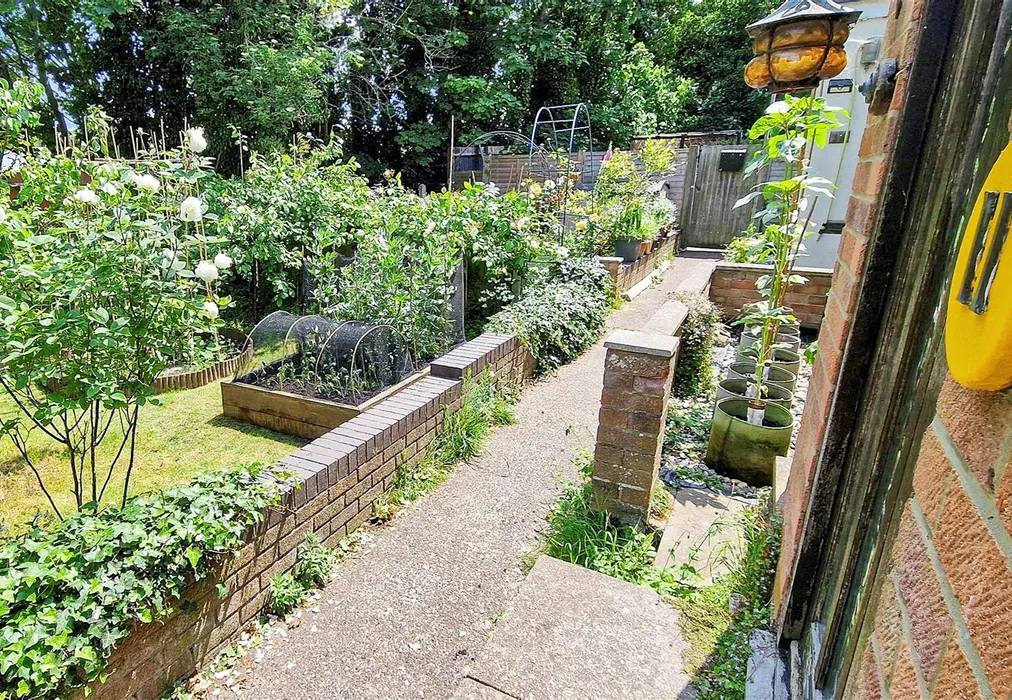 Garden - All Saints Avenue, Westbrook, Margate, Kent - Wards of Kent