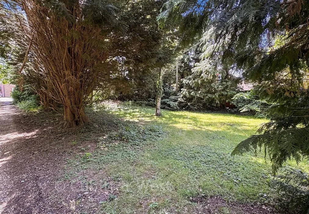 Driveway & Orchard - Horley Row, Horley, Surrey - Wards of Kent