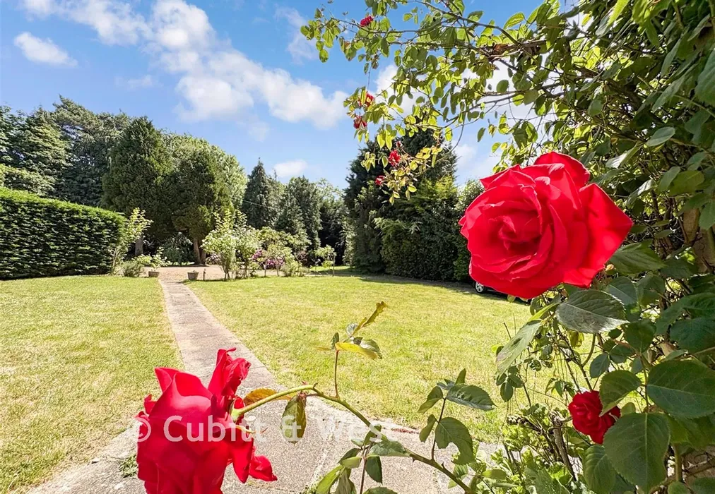 Garden Lifestyle - Horley Row, Horley, Surrey - Wards of Kent