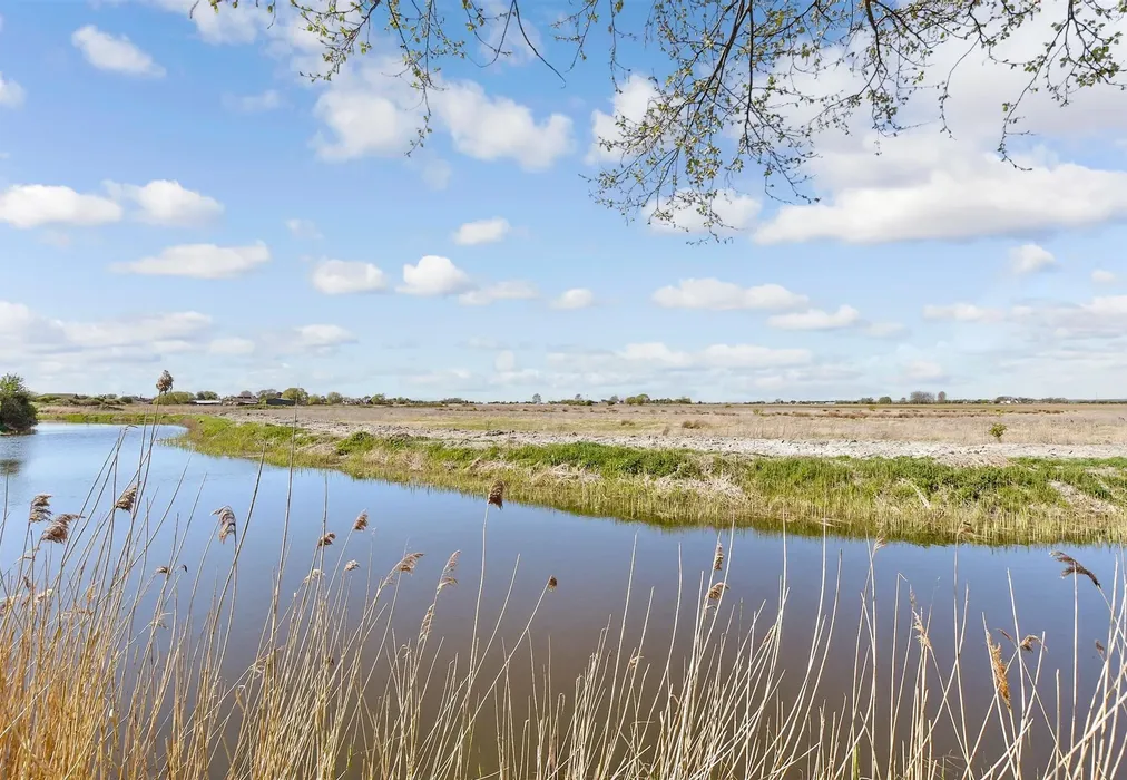 Surrounding Area - Hythe Road, Dymchurch, Romney Marsh, Kent - Wards of Kent