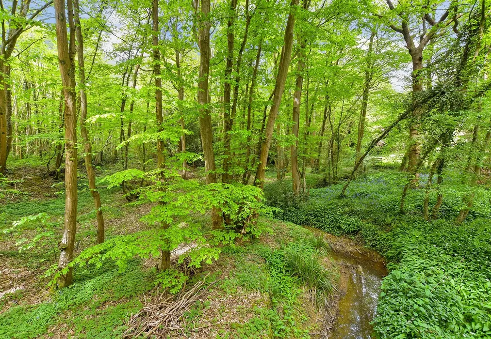 Surrounding Area - Harbourne Lane, High Halden, Ashford, Kent - Wards of Kent